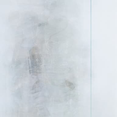 scuse my state - KID FRESINO, Yuta Orisaka カバー画像